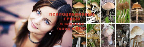 ешки Алзамай