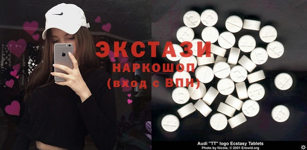 СК Алексин