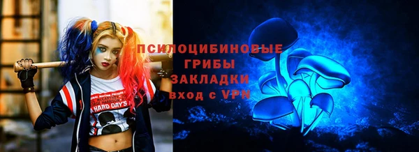 синтетический гашиш Алексеевка