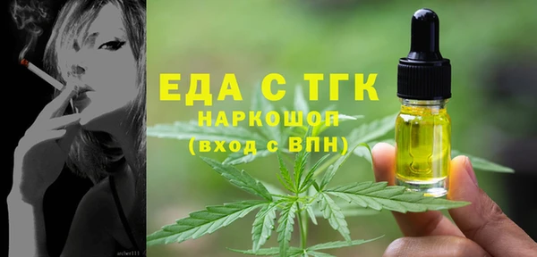 СК Алексин
