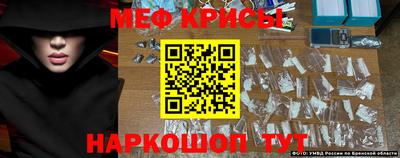 стафф Кингисепп