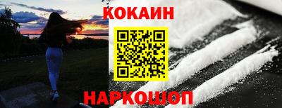 стафф Кингисепп
