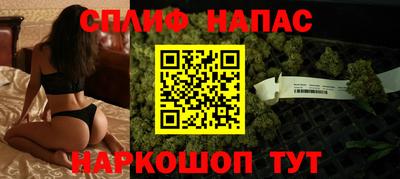 стафф Кингисепп