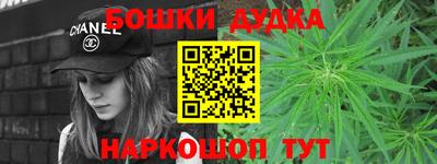 стафф Кингисепп