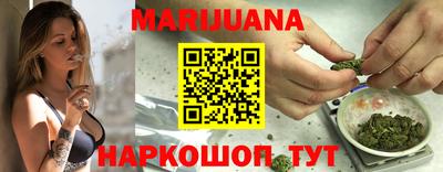 стафф Кингисепп
