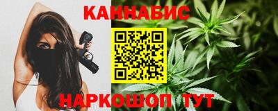 стафф Кингисепп