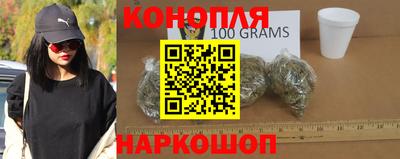стафф Кингисепп