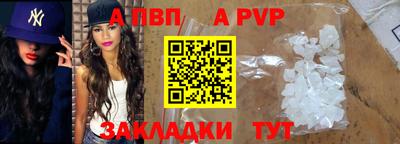 стафф Кингисепп