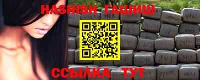 стафф Кингисепп