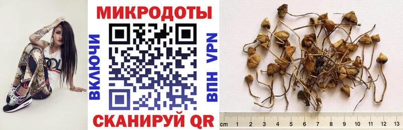 omg ССЫЛКА  Ипатово  Галлюциногенные грибы Psilocybe 