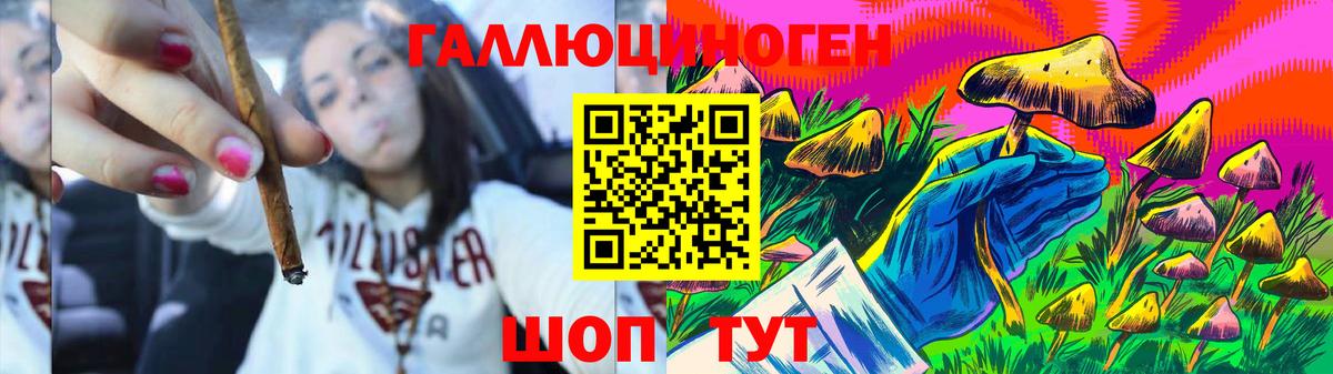что такое   Псилоцибиновые грибы MAGIC MUSHROOMS  Вход с VPN  Ипатово 