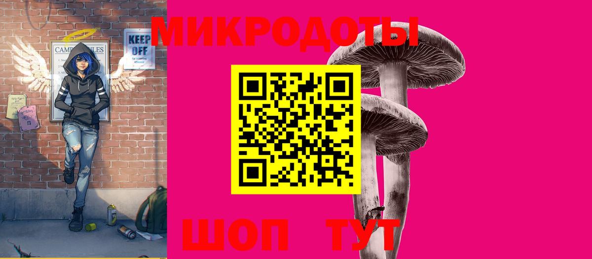 Псилоцибиновые грибы Psilocybe Ипатово