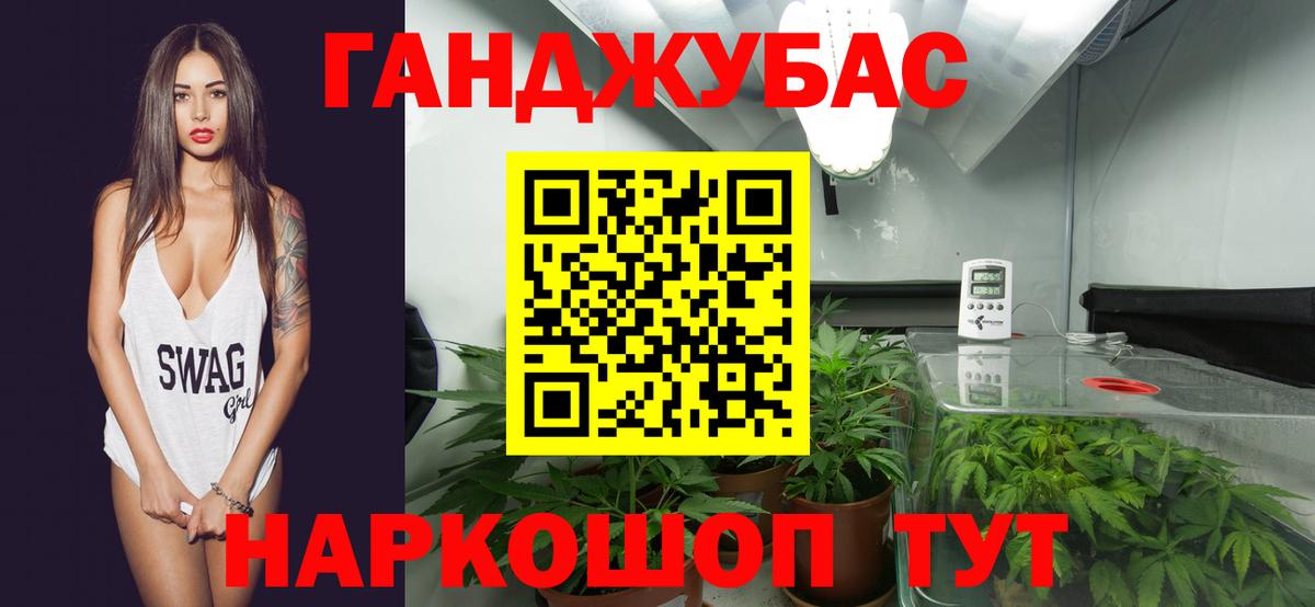 Бошки Шишки планчик Ипатово